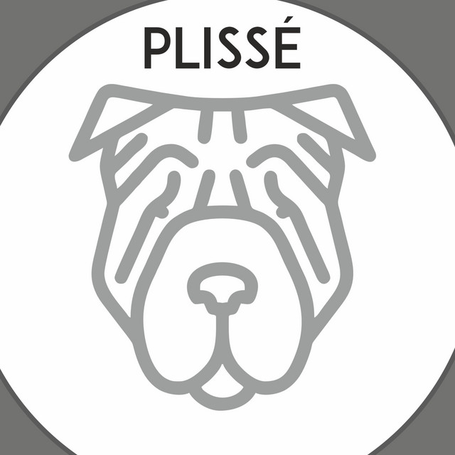 Plissé on Spotify